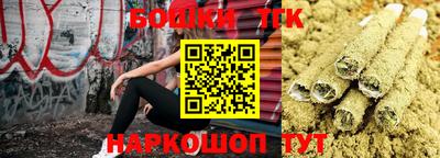 спайс Аша