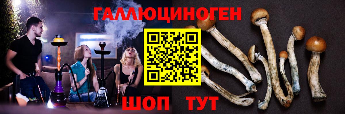Псилоцибиновые грибы Magic Shrooms  Вход с VPN  Ахтубинск 