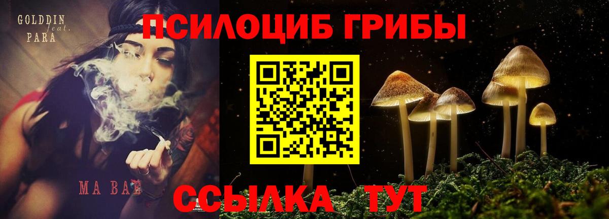 Галлюциногенные грибы прущие грибы Ахтубинск